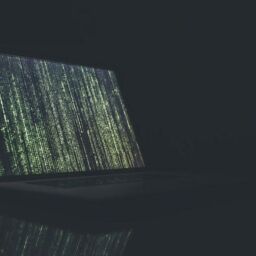 BBDD vs generación de registros propios